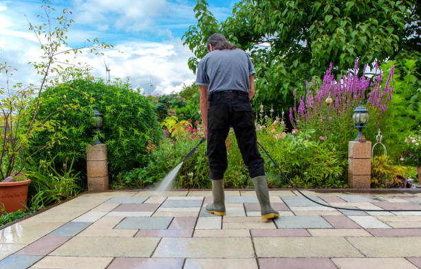 Best Driveway Pressure Washing  in South Daytona, FL